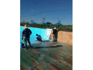 特种漆施工现场